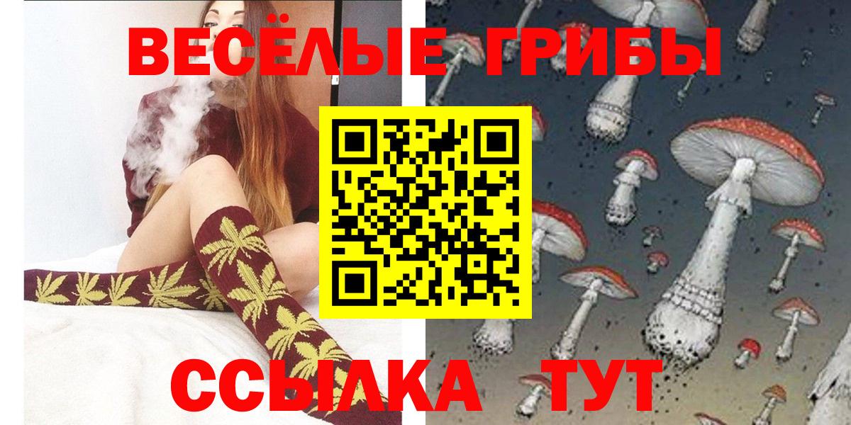 Галлюциногенные грибы Cubensis Валуйки