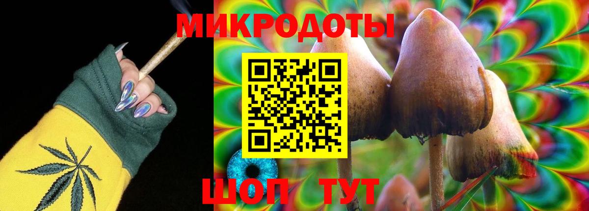 Галлюциногенные грибы Psilocybe  Галлюциногенные грибы Psilocybe  Валуйки  Вход с VPN 